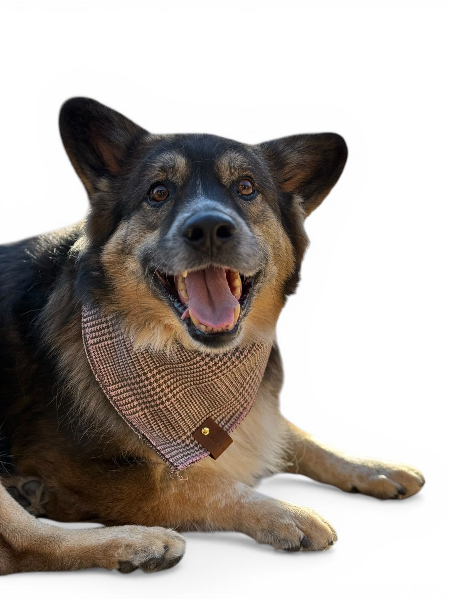 The Bailey Bandana