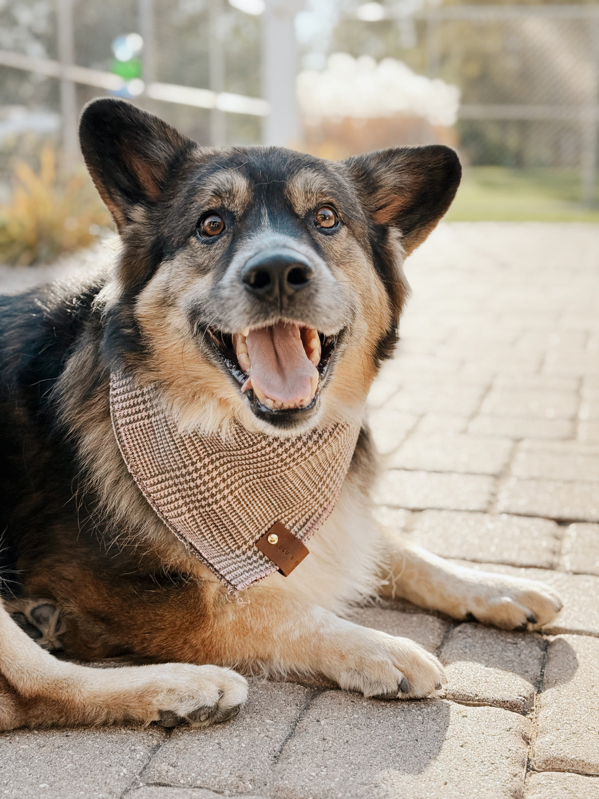 The Bailey Bandana