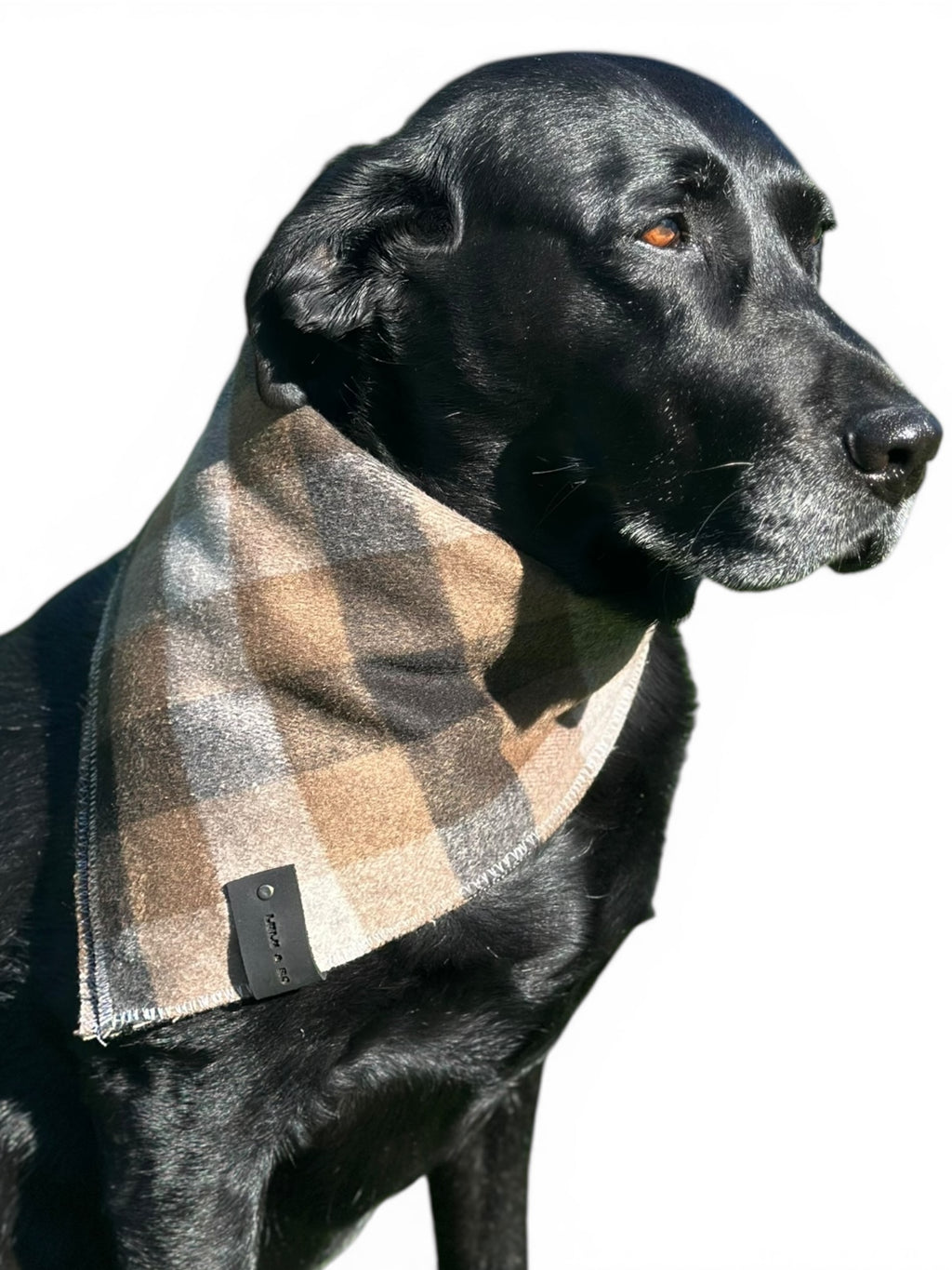 The Louie Bandana