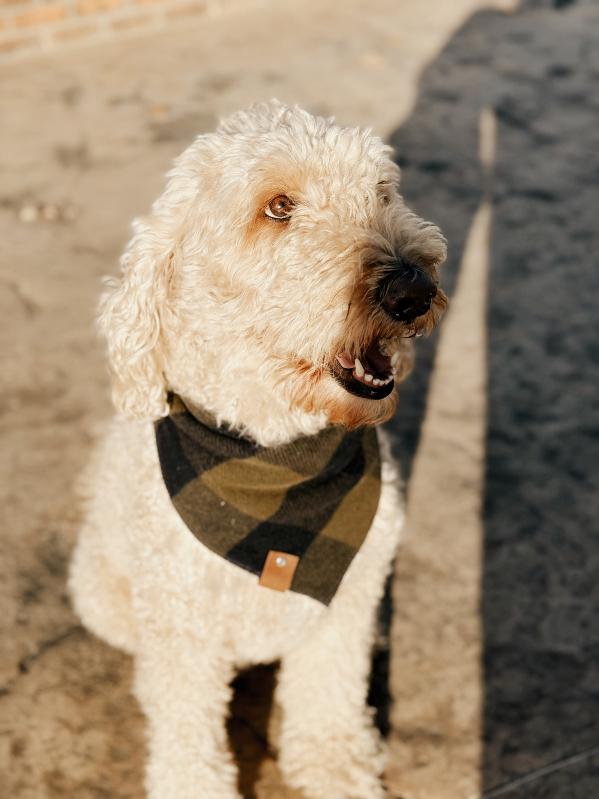 The Henry Bandana