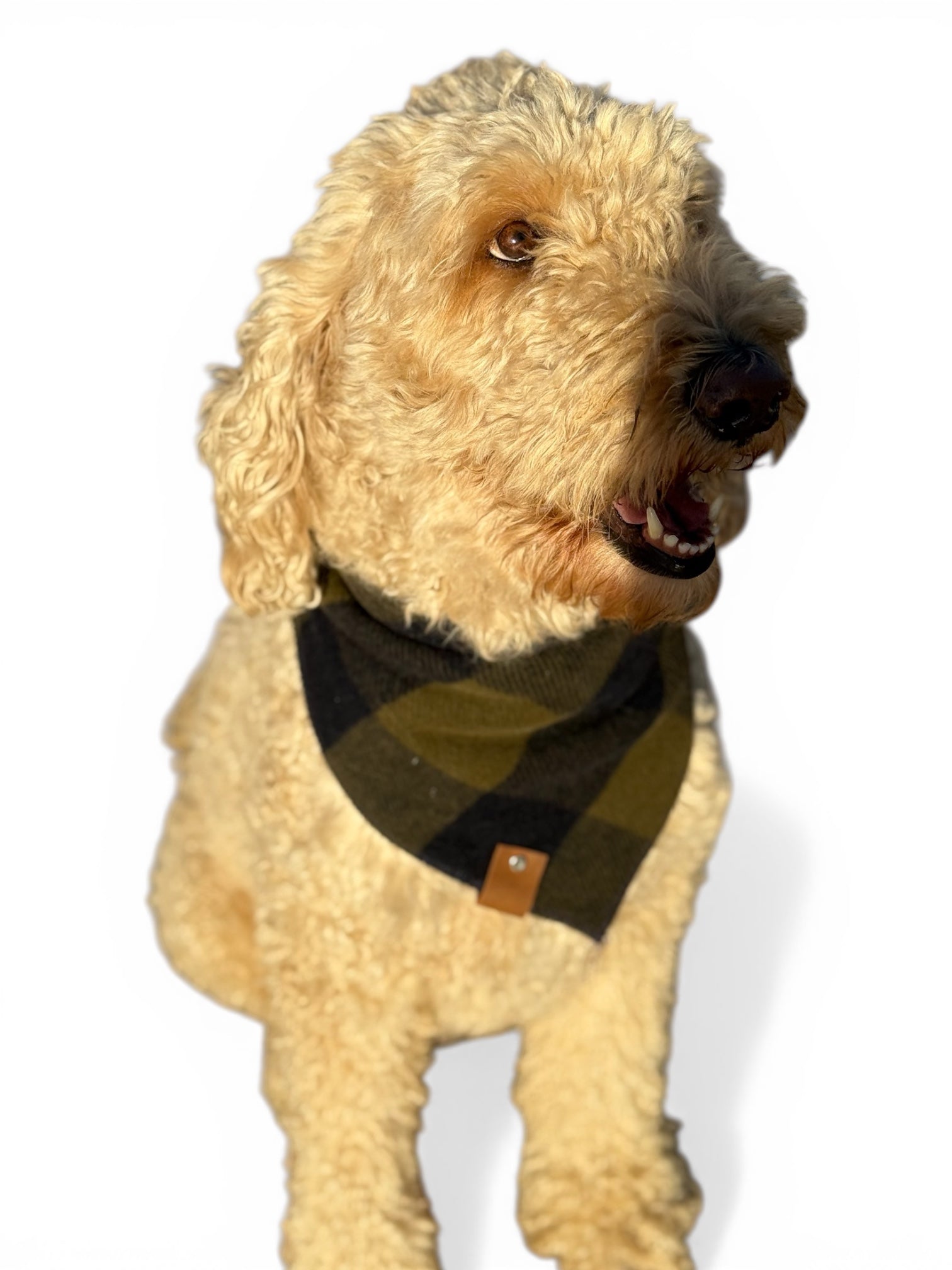 The Henry Bandana